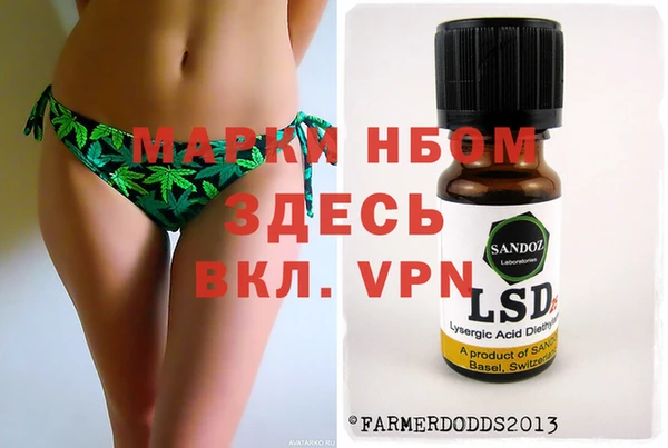 ГАЛЛЮЦИНОГЕННЫЕ ГРИБЫ Коряжма