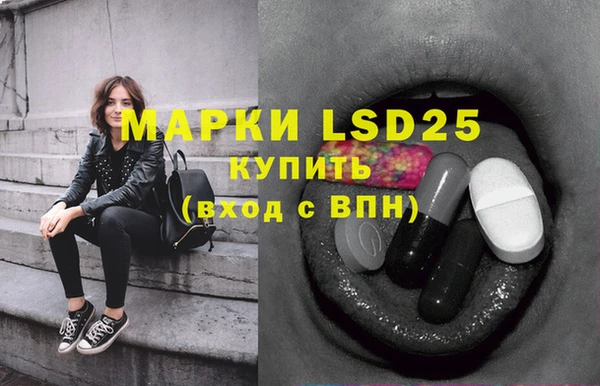 ГАЛЛЮЦИНОГЕННЫЕ ГРИБЫ Коряжма