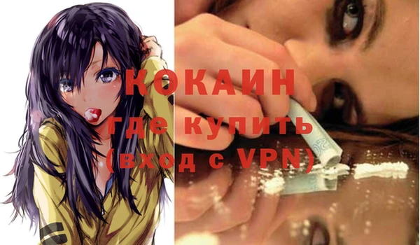 ГАЛЛЮЦИНОГЕННЫЕ ГРИБЫ Коряжма